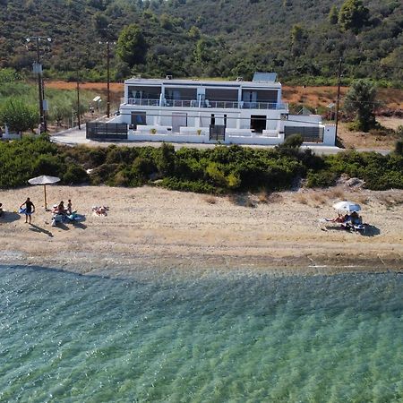 Maurizio'S Villa Γιάλτρα Εξωτερικό φωτογραφία